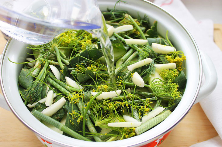 Lightly salted zucchini - a wonderful seasonal preparation
