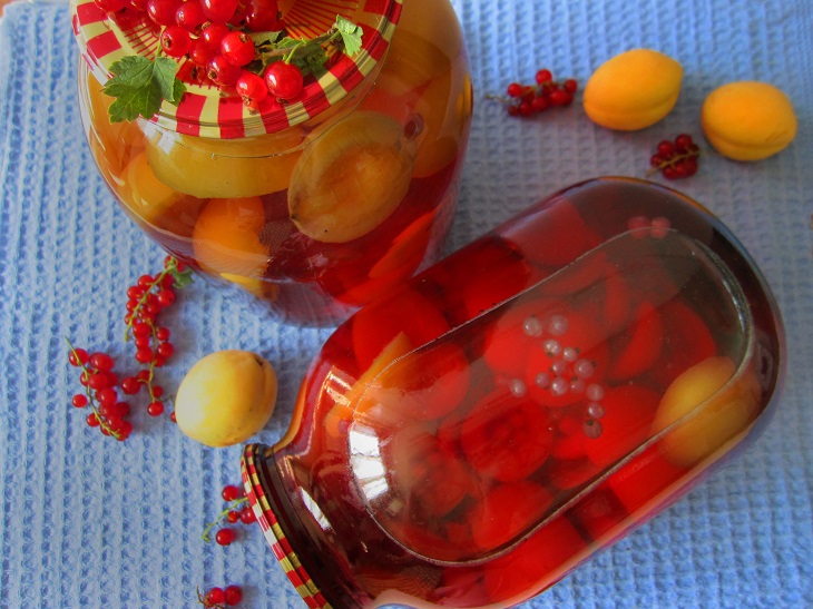 Compote of apricots with red currants for the winter without sterilization