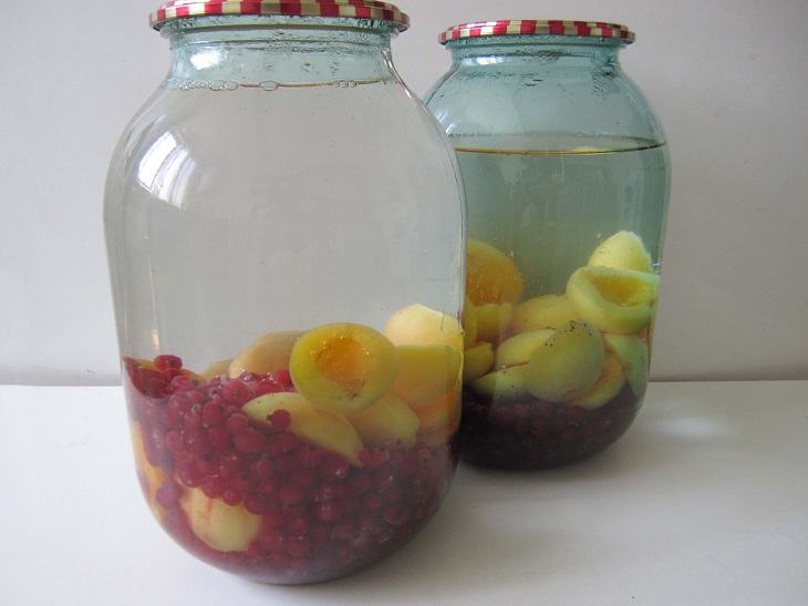 Compote of apricots with red currants for the winter without sterilization