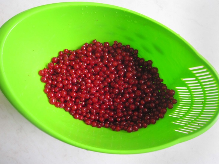 Compote of apricots with red currants for the winter without sterilization