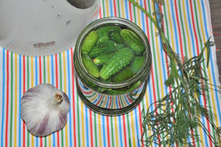 Gherkins with tarragon - crispy and fragrant
