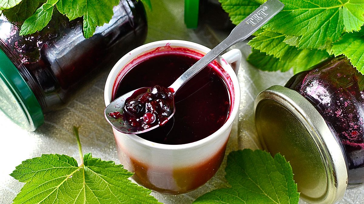 Jam “Five Minute” from blackcurrant – even a novice hostess can handle it