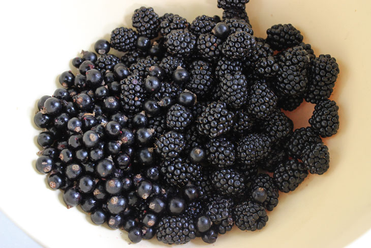 Blackberries mashed with sugar - delicious jam without cooking