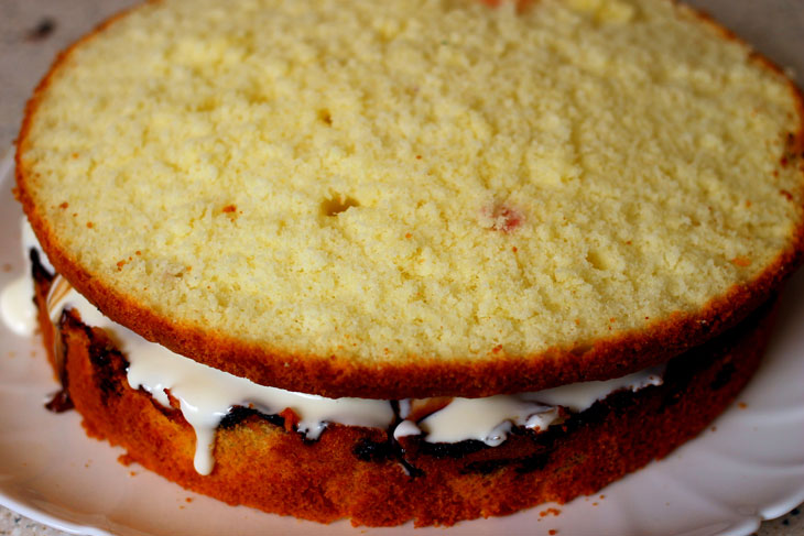 Biscuit cake with apricots and black currants - a step by step recipe with a photo