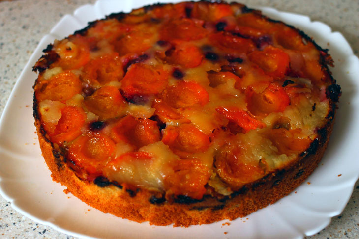 Biscuit cake with apricots and black currants - a step by step recipe with a photo