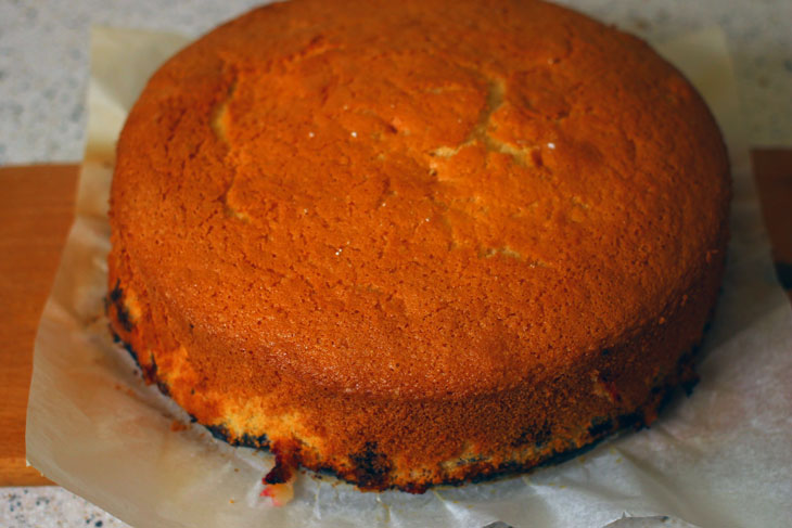 Biscuit cake with apricots and black currants - a step by step recipe with a photo