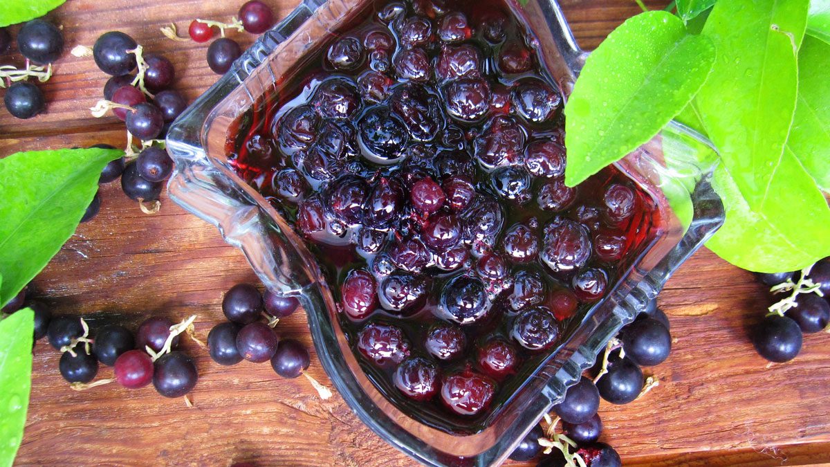 Divine blackcurrant jam – fragrant and tasty delicacy
