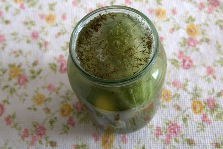 Lazy preservation: pickled cucumbers in a day in a hot way