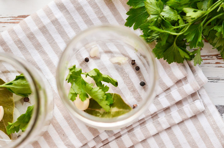 Pickled Cucumbers with Apple Cider Vinegar - a good way to harvest your favorite vegetables