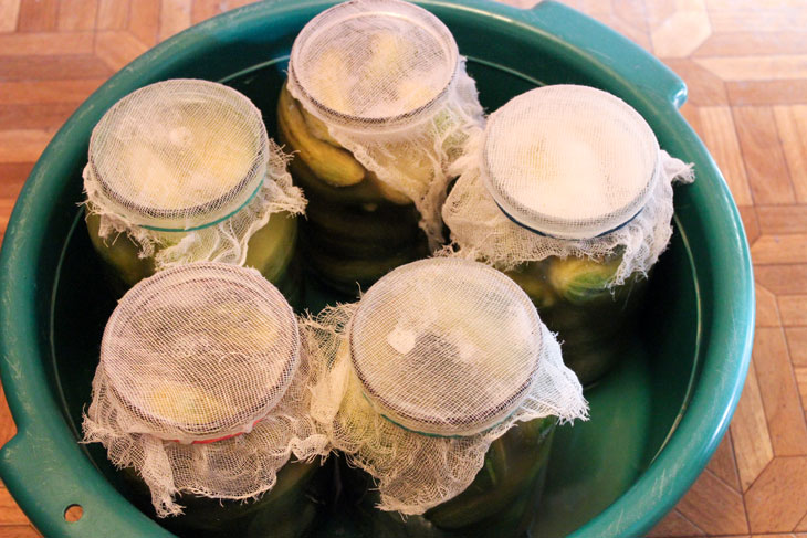 Pickled cucumbers for the winter in liter jars - crispy, like barrel