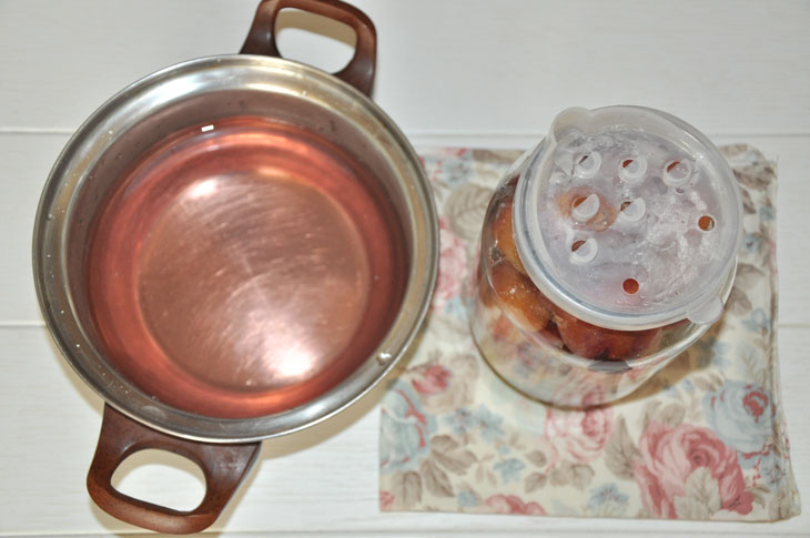 Pickled plums for the winter - a step by step recipe with a photo