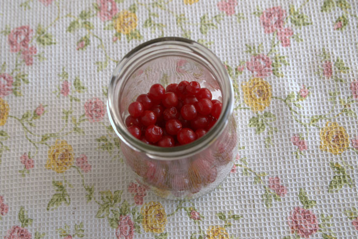 “Striped” viburnum jam for the winter is an interesting and mega-healthy sweetness