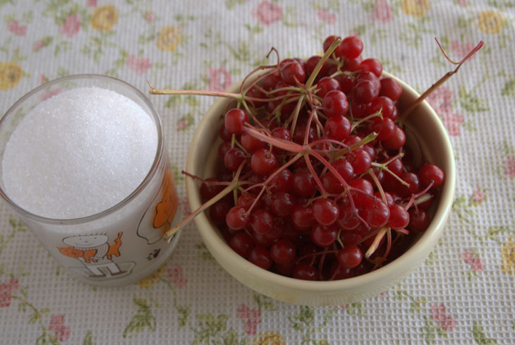 “Striped” viburnum jam for the winter is an interesting and mega-healthy sweetness