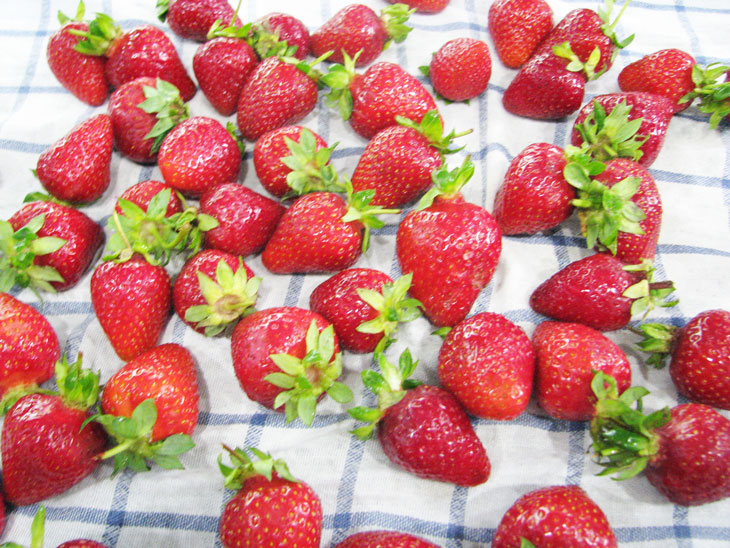 Fragrant and juicy strawberry pie: a step by step recipe with a photo